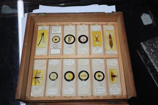 Two cases of scientific microscope slides many by Dareston, Birmingham
